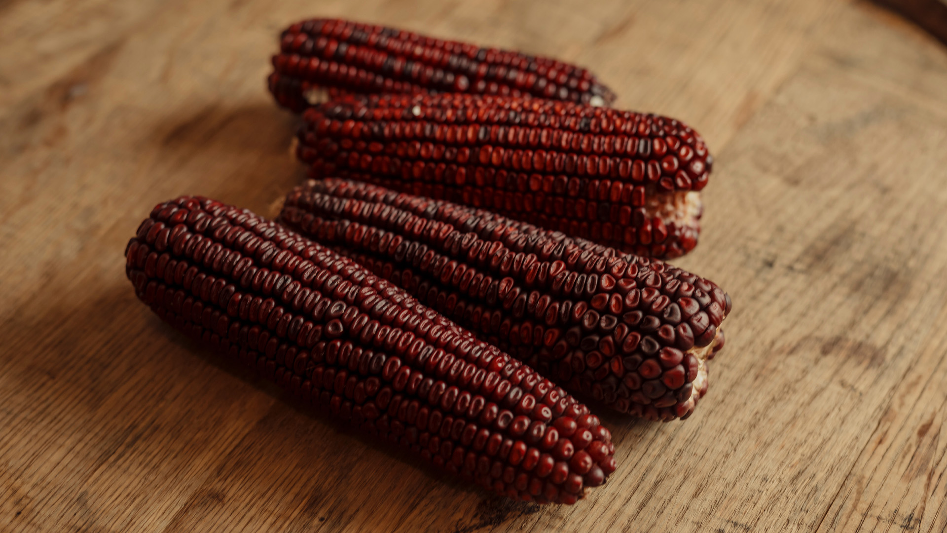 Reagan Corn Our Heritage | Heirloom Grain Bourbon & Rye from Doc Brown Spirits